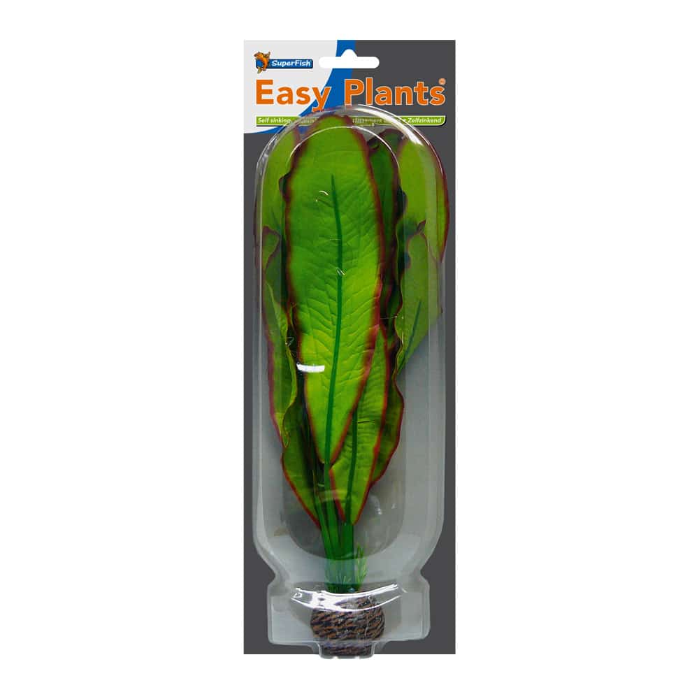 SuperFish Easy Plants Microsorum bord rouge – 30 cm