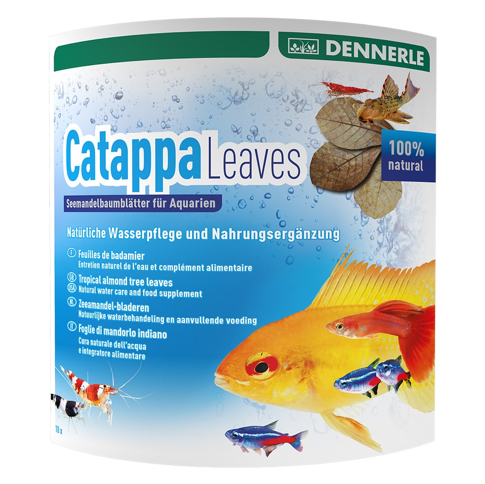 Dennerle Catappa Leaves – Feuilles de Catappa x10
