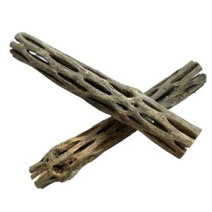 Ecorce de Cholla Wood