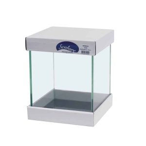 Scalare aquarium 10L – 20 x 20 x 25 cm