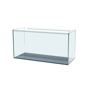 Scalare aquarium 200L – 100 x 40 x 50 cm