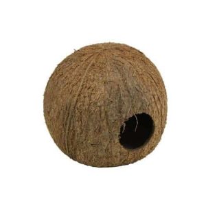 Cocos Cava JBL 3/4 grotte en noix de coco