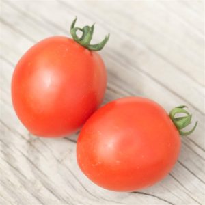 TOMATE SIBERIAN AB