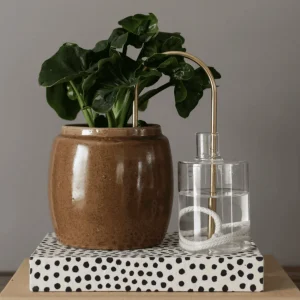 « Plant Straw » paille d’auto arrosage pour plantes – doré 2 tailles